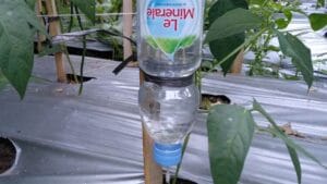 irigasi tetes botol 16x9